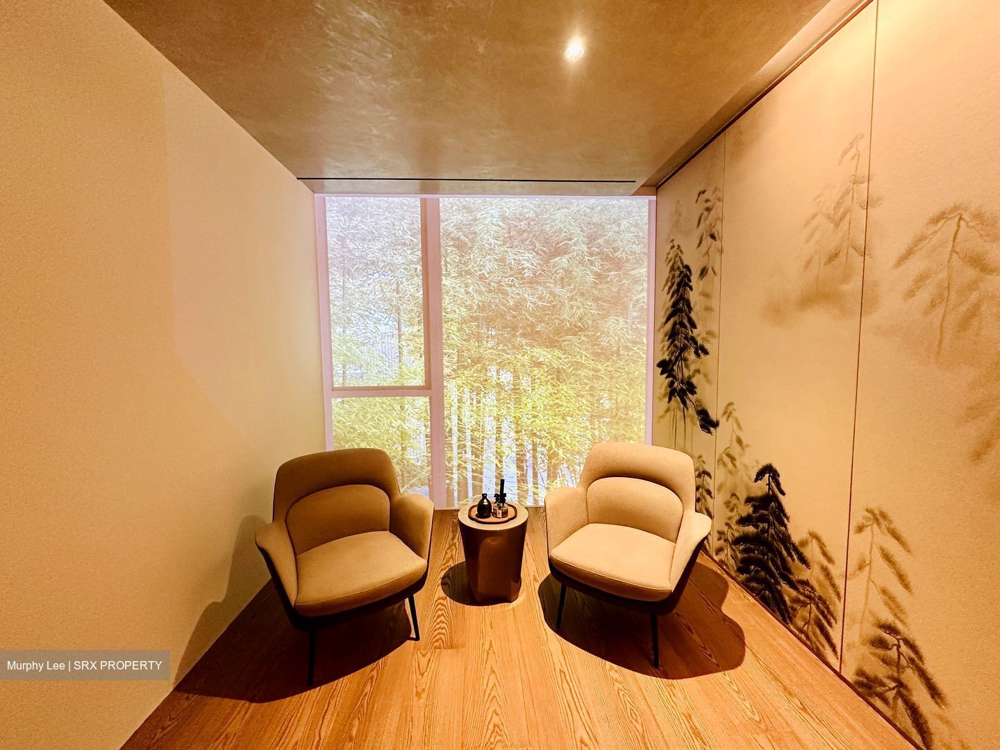 21 Anderson (D10), Condominium #450567811